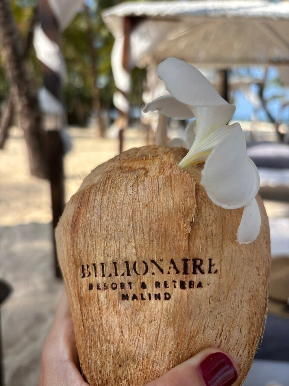 Billionare Beach Front Apartments image 12